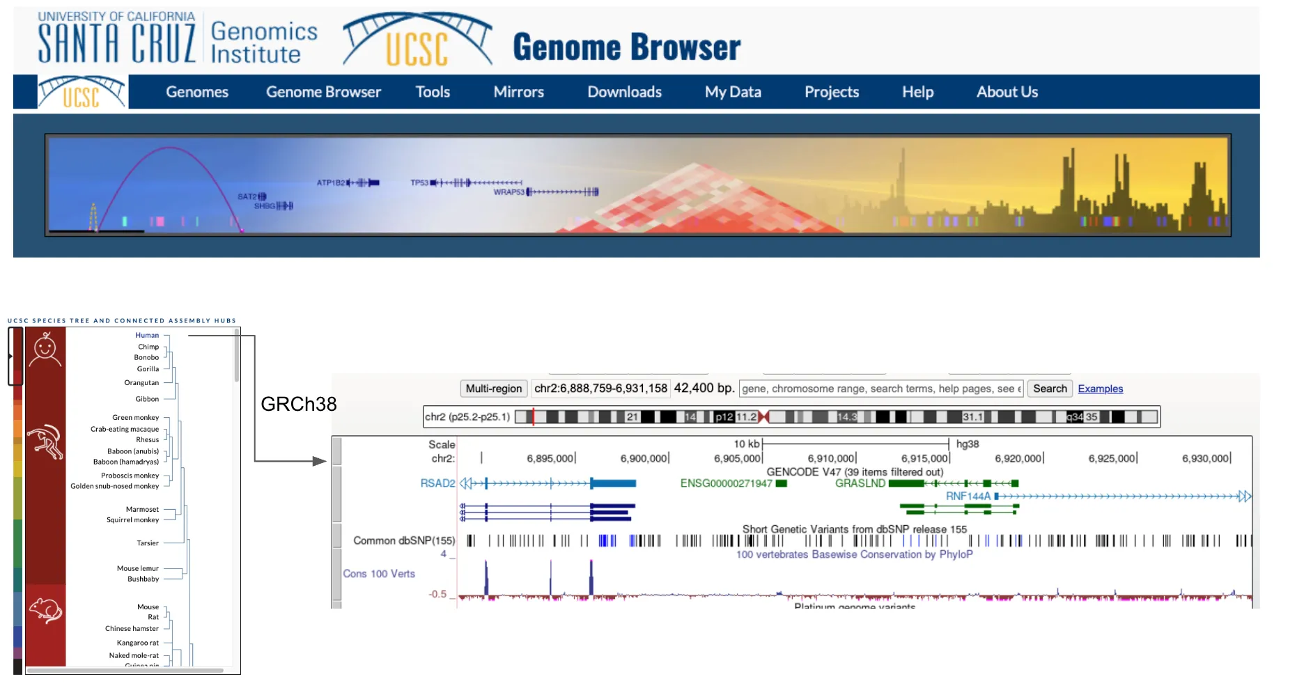 genome_browser_sc