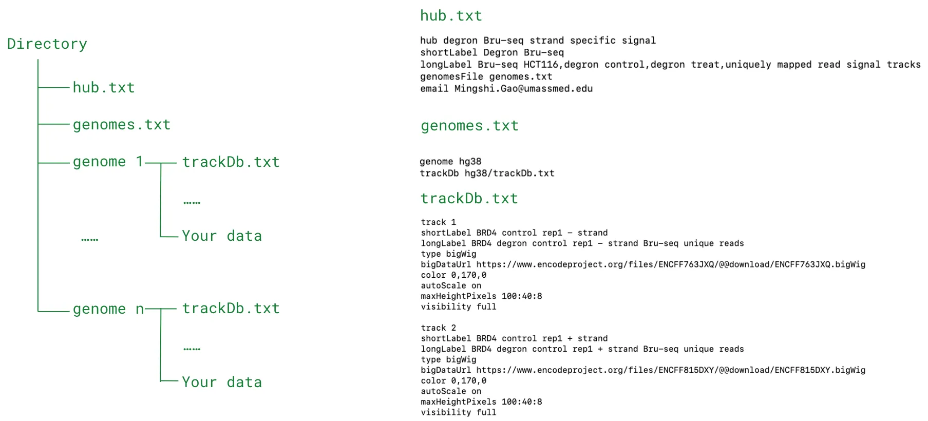 track hub folder set up